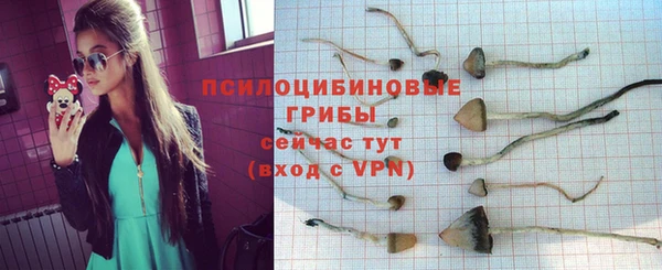 СК Армянск