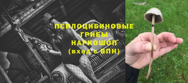 СК Армянск