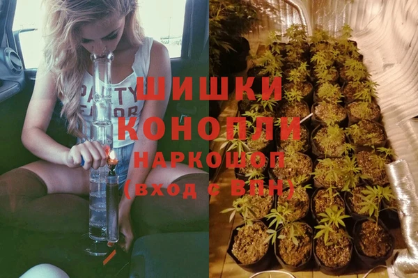 дмт Аркадак