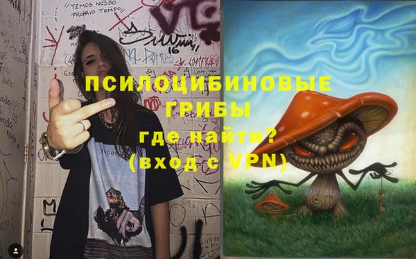 дмт Аркадак
