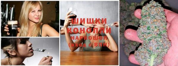 дмт Аркадак
